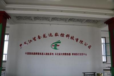 東北最大鋅鋼圍欄生產基地落戶望奎，北方金屬制品引領行業新高度